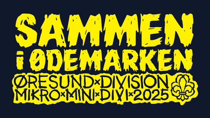 Sammen i Ødemarken — Mikro Mini Divi 2025 — Øresund Division